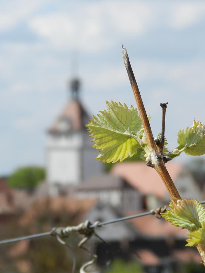 Gaestehaus Am Westtor Prichsenstadt Buitenkant foto